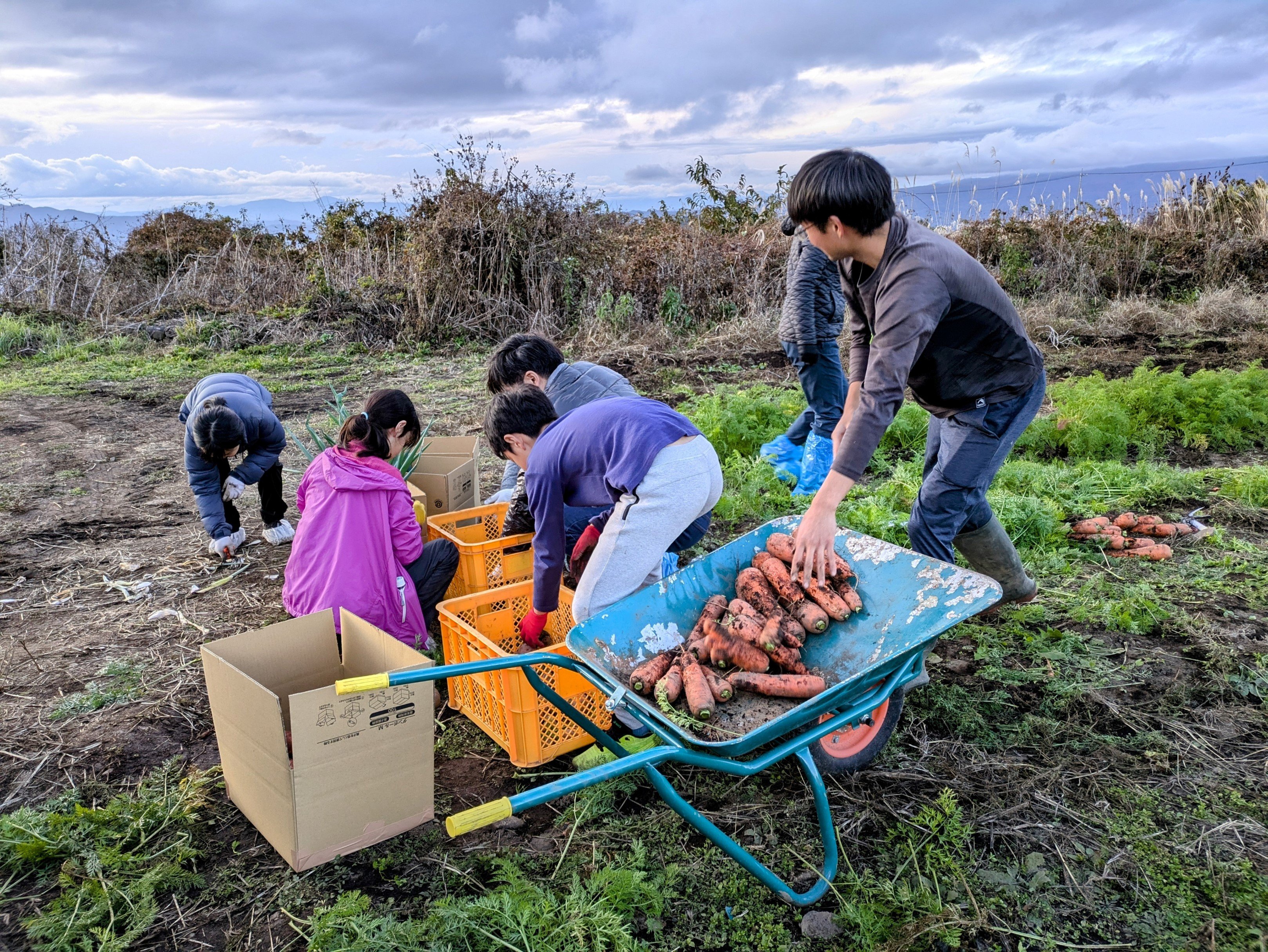 食品リサイクルの野菜収穫体験による、食の恵みとサステナビリティ